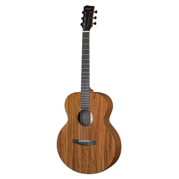 Enya EA X1 EQ T1