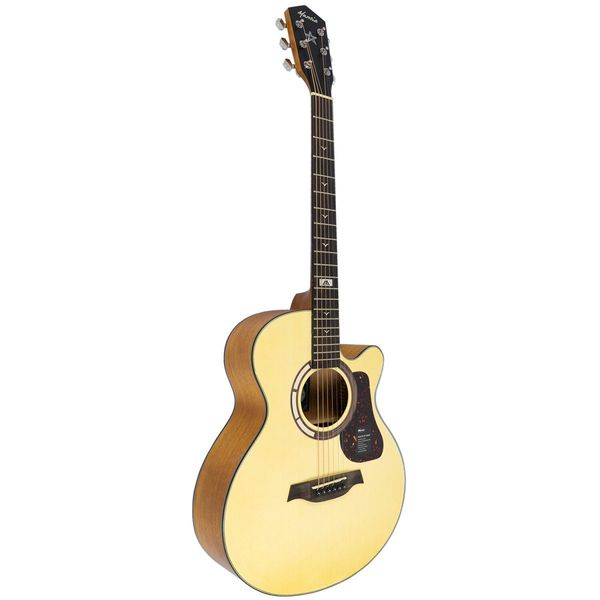 Guitar Acoustic Mantic GT-1AC